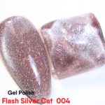 Flash Silver Cat 004 – 10ml