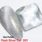 Flash Silver Cat 001 – 10ml
