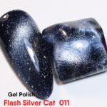 Flash Silver Cat 011 – 10ml
