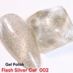 Flash Silver Cat 002 – 10ml